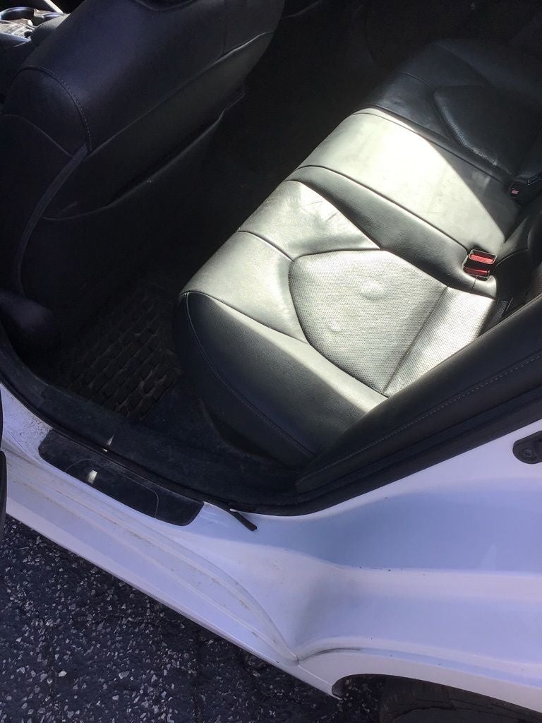 2021 Toyota Camry Hybrid XLE