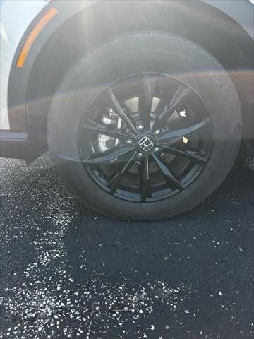 Photo 13