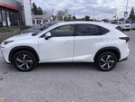 2020 Lexus NX 300h