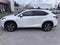 2020 Lexus NX 300h