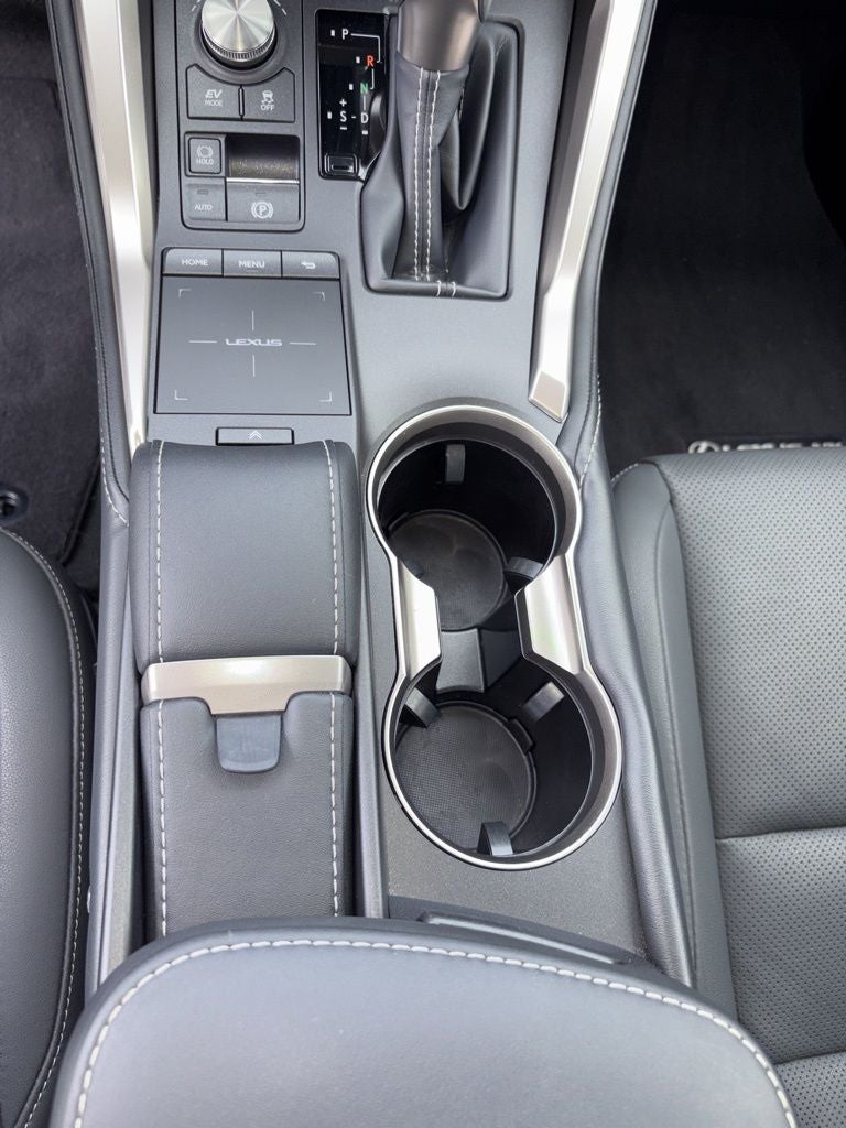 2020 Lexus NX 300h