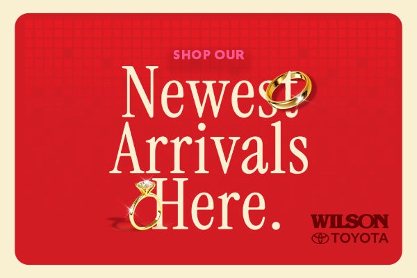 Shop Our Newest Arrivals